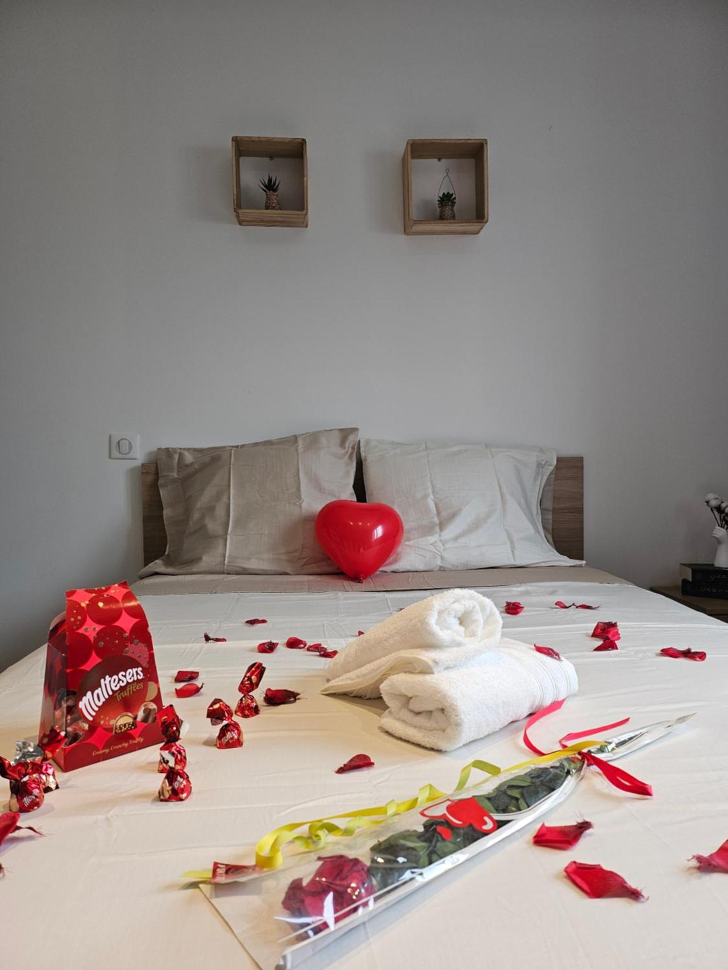 Magnifique Maison Avec Baignoire Balneo Apartment Cornebarrieu